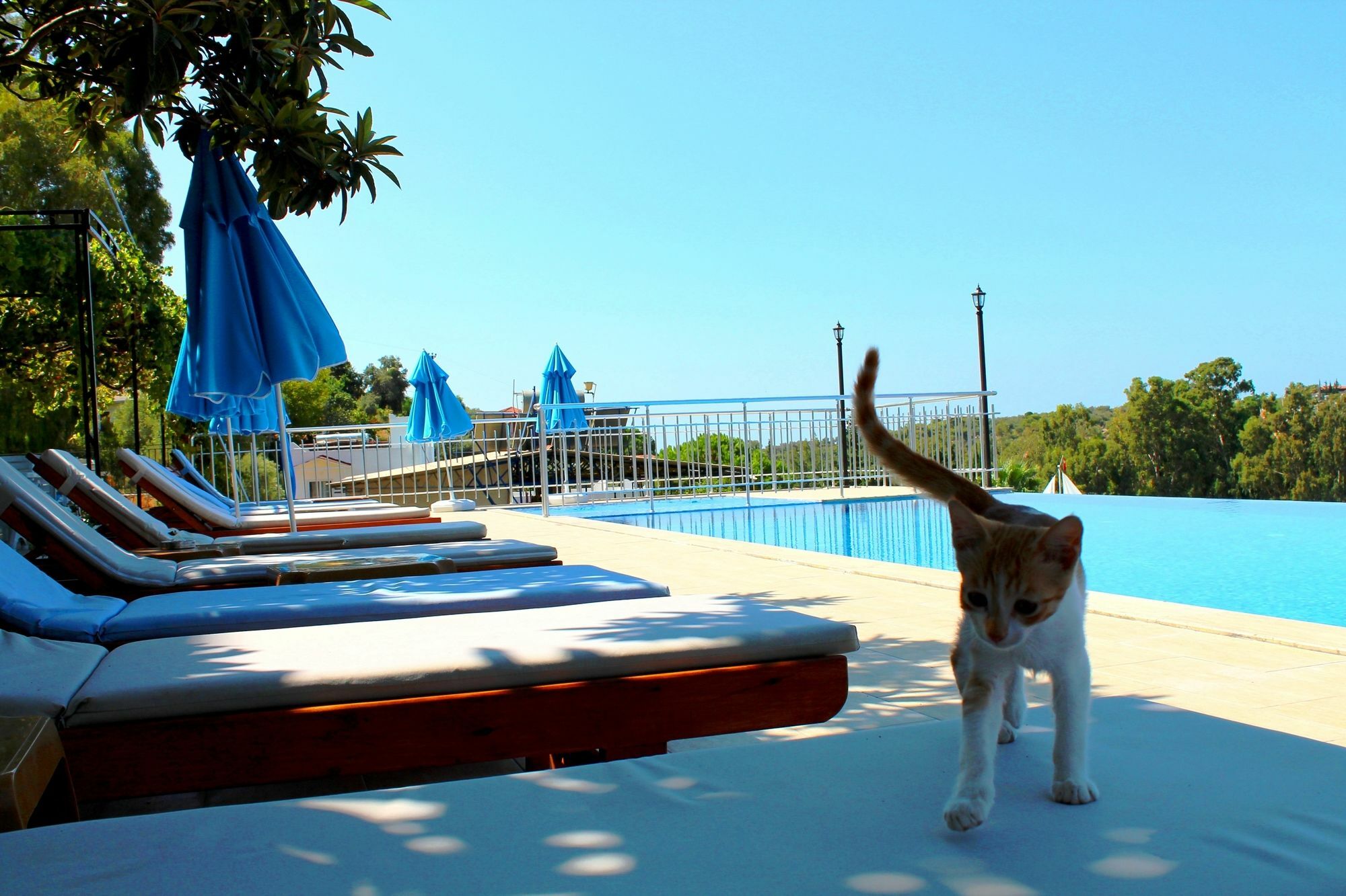 Hotel Patara Sun Club Exteriér fotografie